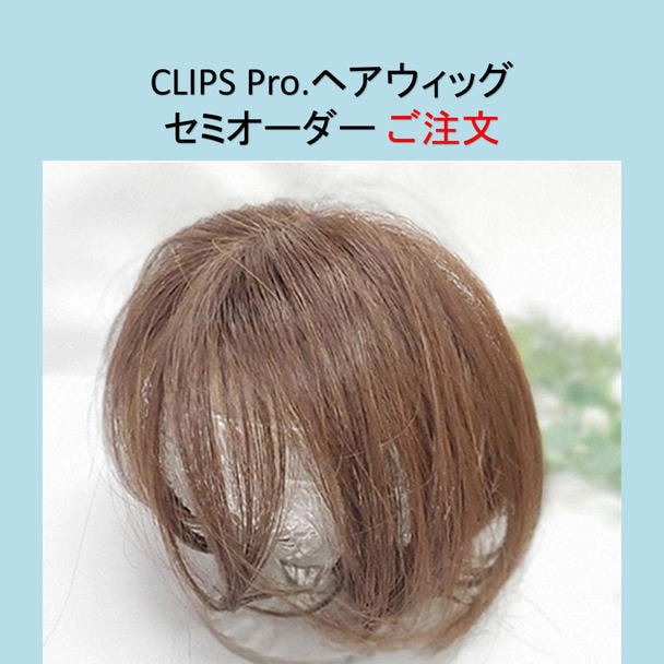 CLIPS.Pro セミオーダーメイドヘアウィッグ(トップ・分け目)の卸・通販