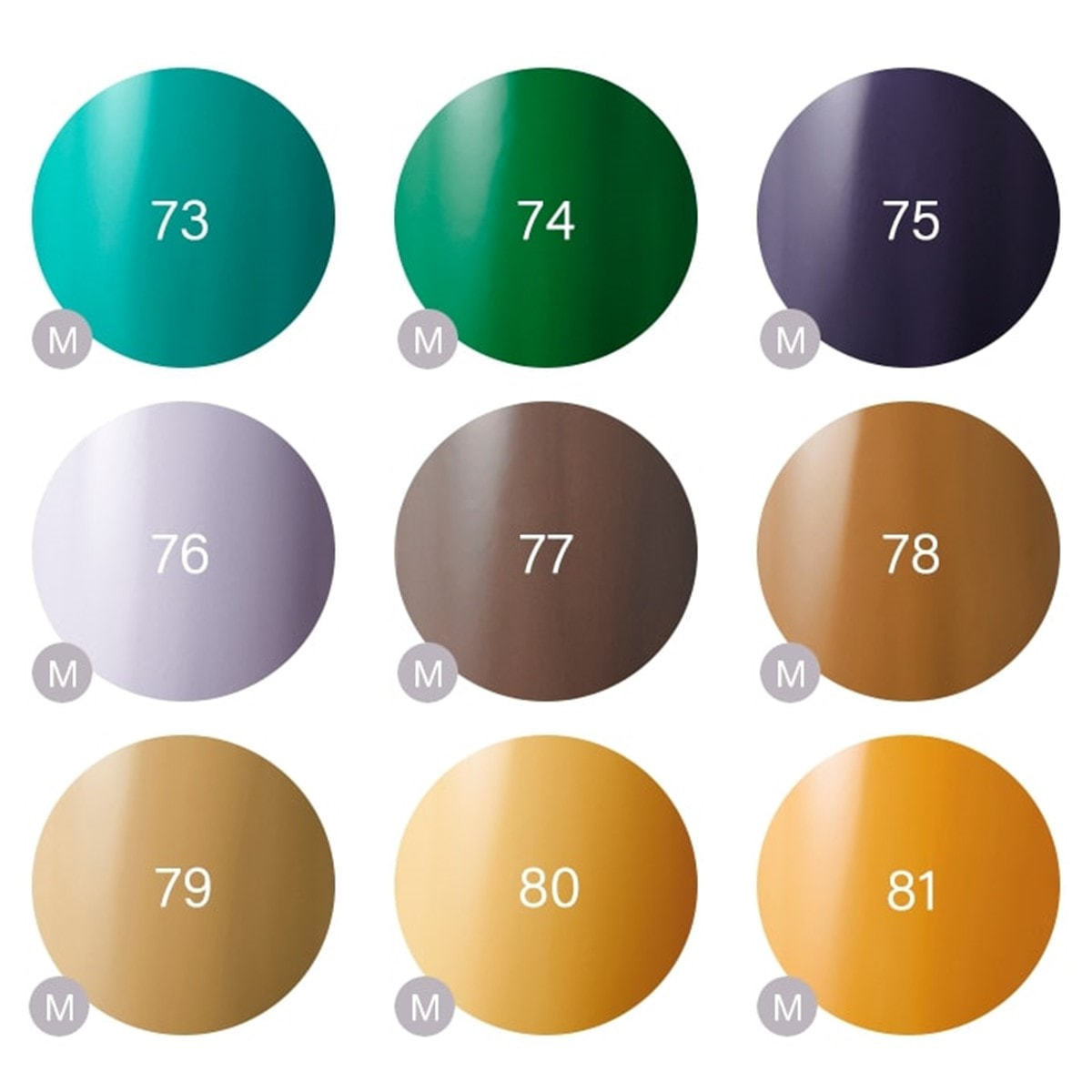 Raygel カラージェル 選べる6色セットの卸・通販 | ビューティガレージ