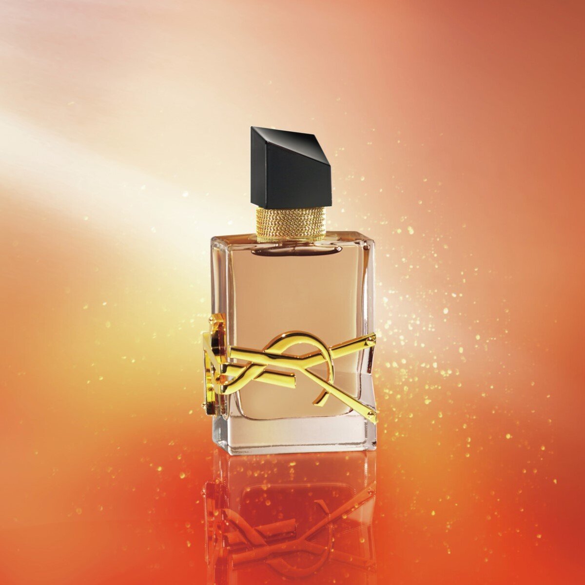 憧れのYSL「リブレ」シリーズの待望の新作が『美的』12月号特別付録で