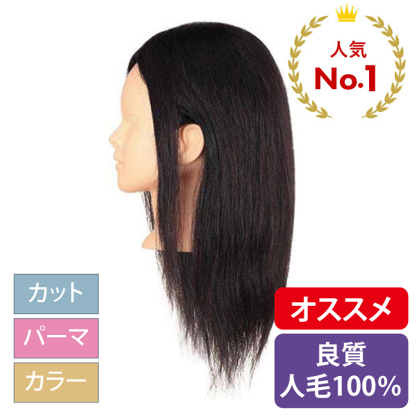 B-07s カットウイッグ (カラー/パーマ対応・人毛100%)【3日間新品保証