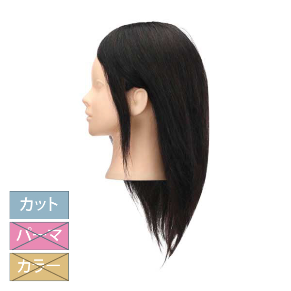 レッスン用ウイッグ | 美通販 www.bitsuhan.com