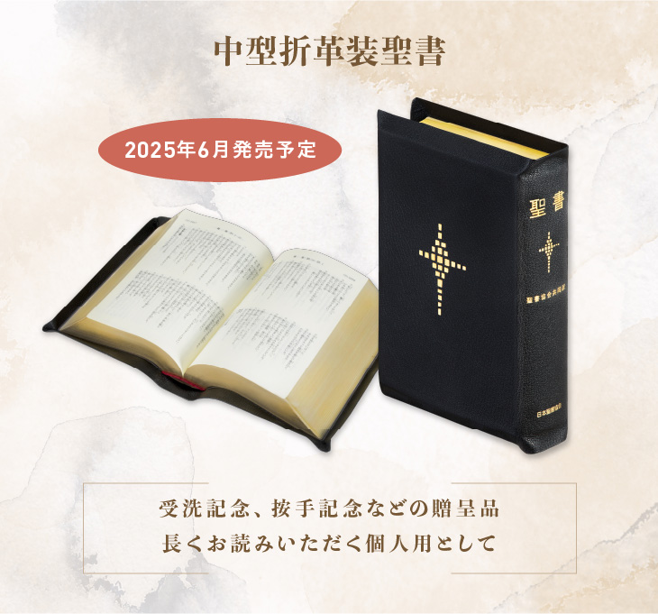 聖書 聖書協会共同訳 中型折革装聖書 SI59S - 日本聖書協会ホームページ