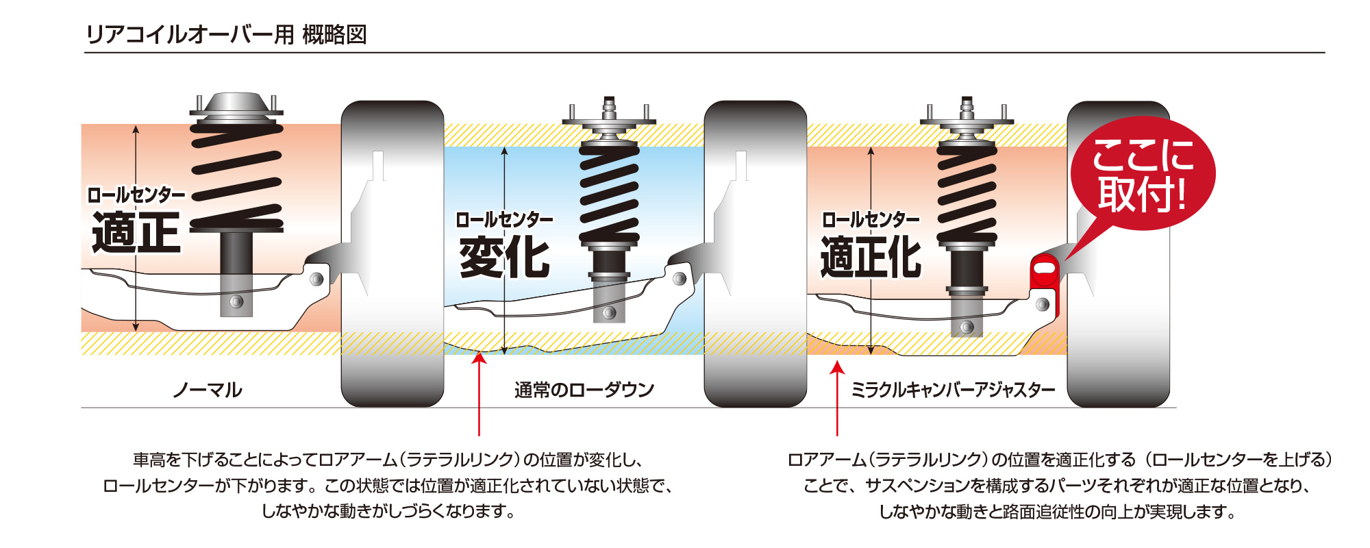 MIRACLE CAMBER ADJUSTER Rear | BLITZ