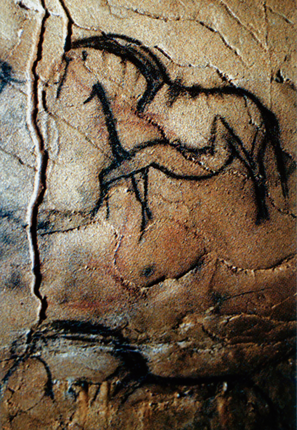 The Paleolithic Cave Art of France
