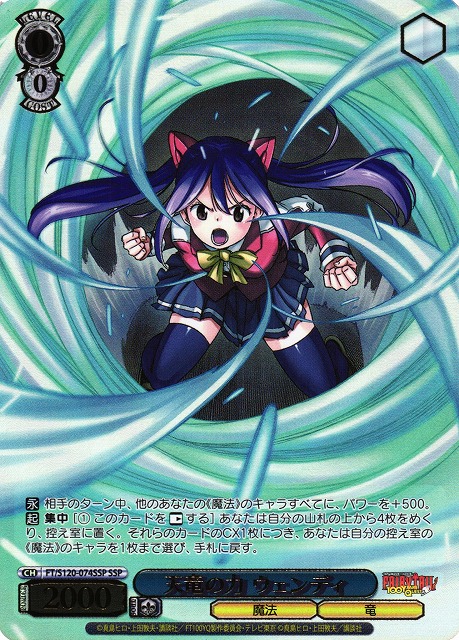 天を穿つウェンディ SP ヴァイスシュバルツ フェアリーテイル 箔押し