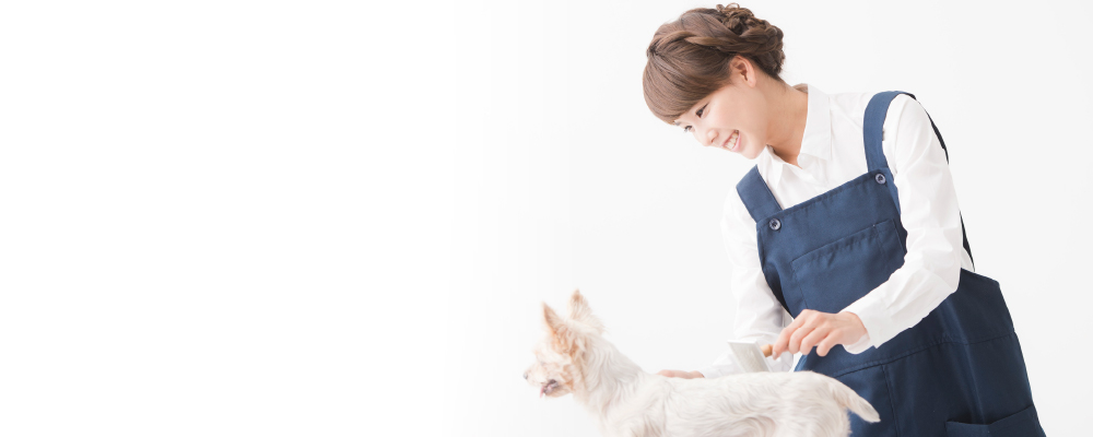 トリマー資格講座│自宅でプロのトリミング技術が学べる！│通信教育