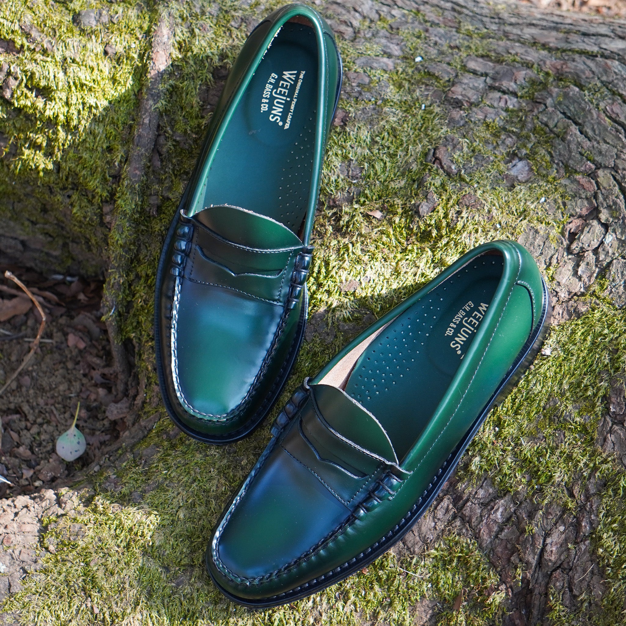 ローファー | 11010H LARSON / DARK GREEN (LEATHER SOLE) - G.H.BASS
