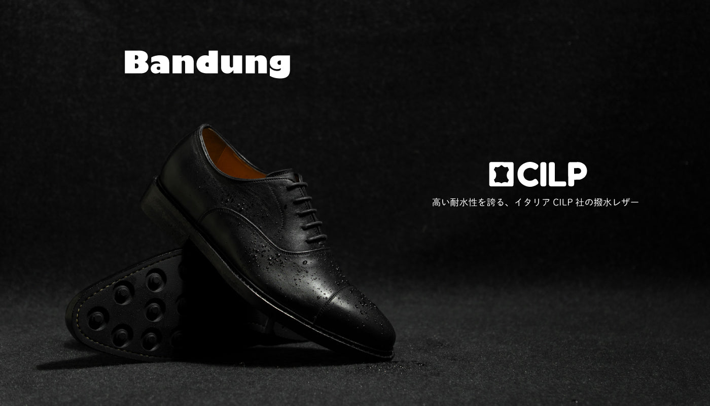 CILP-PC.jpg?v=1760409739&width