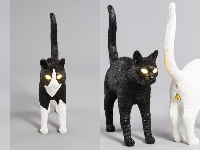 JobbyTheCat_1-min_650x.jpg?v=