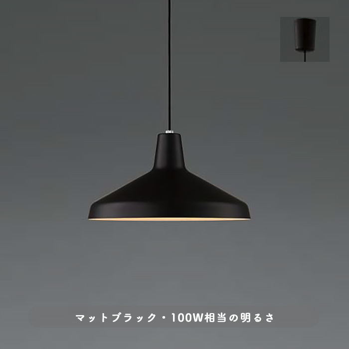 北欧風 ペンダントライト 100W | マットブラック・引掛シーリング式