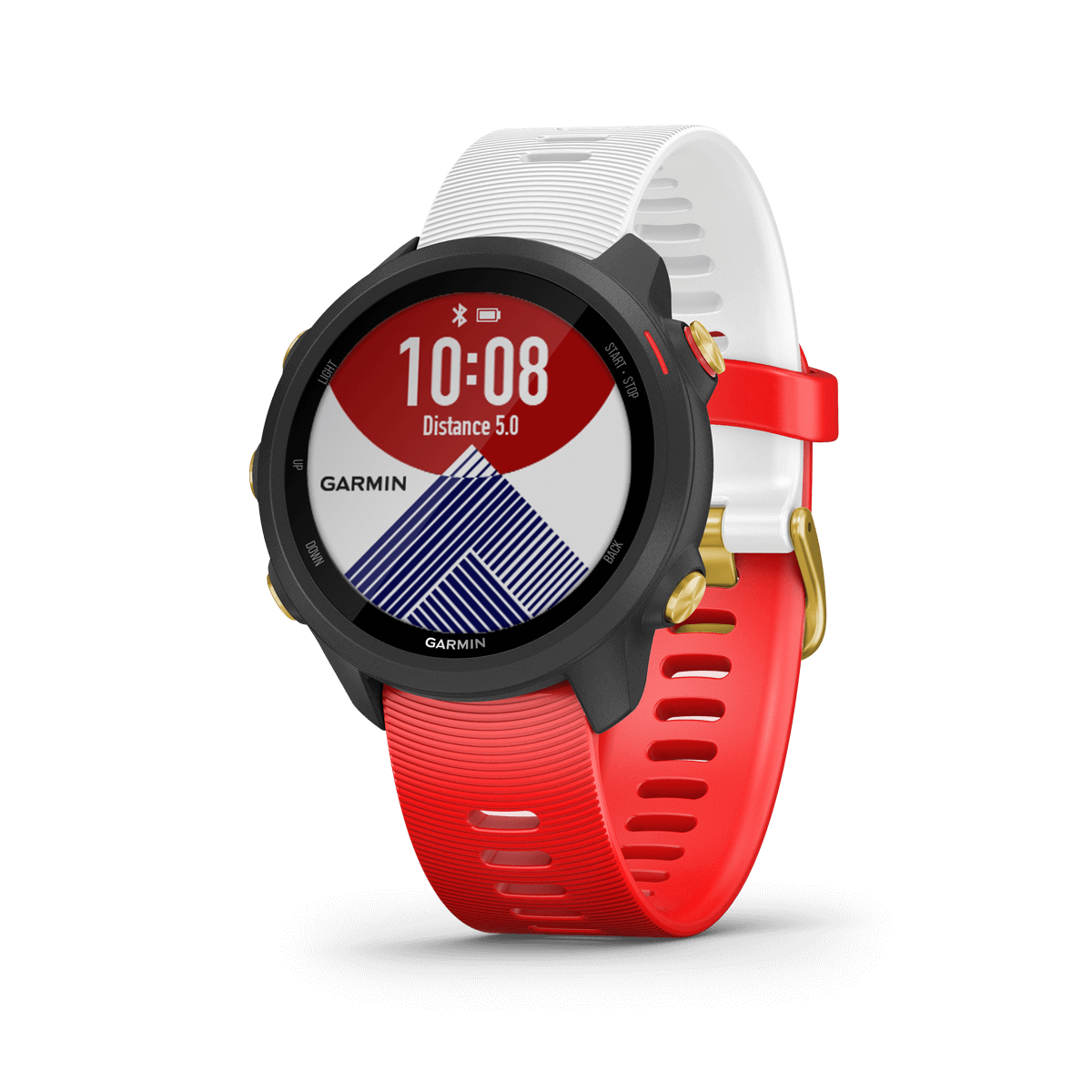 Forerunner 245 Music | Smartwatches | Garmin Singapore