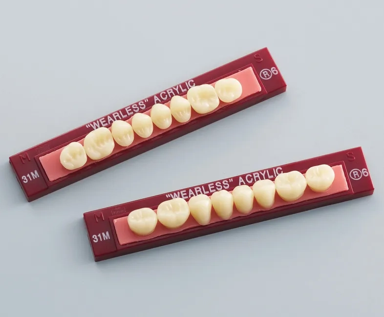 WEARLESS ACRYLIC TEETH POSTERIORS | 株式会社ジーシー