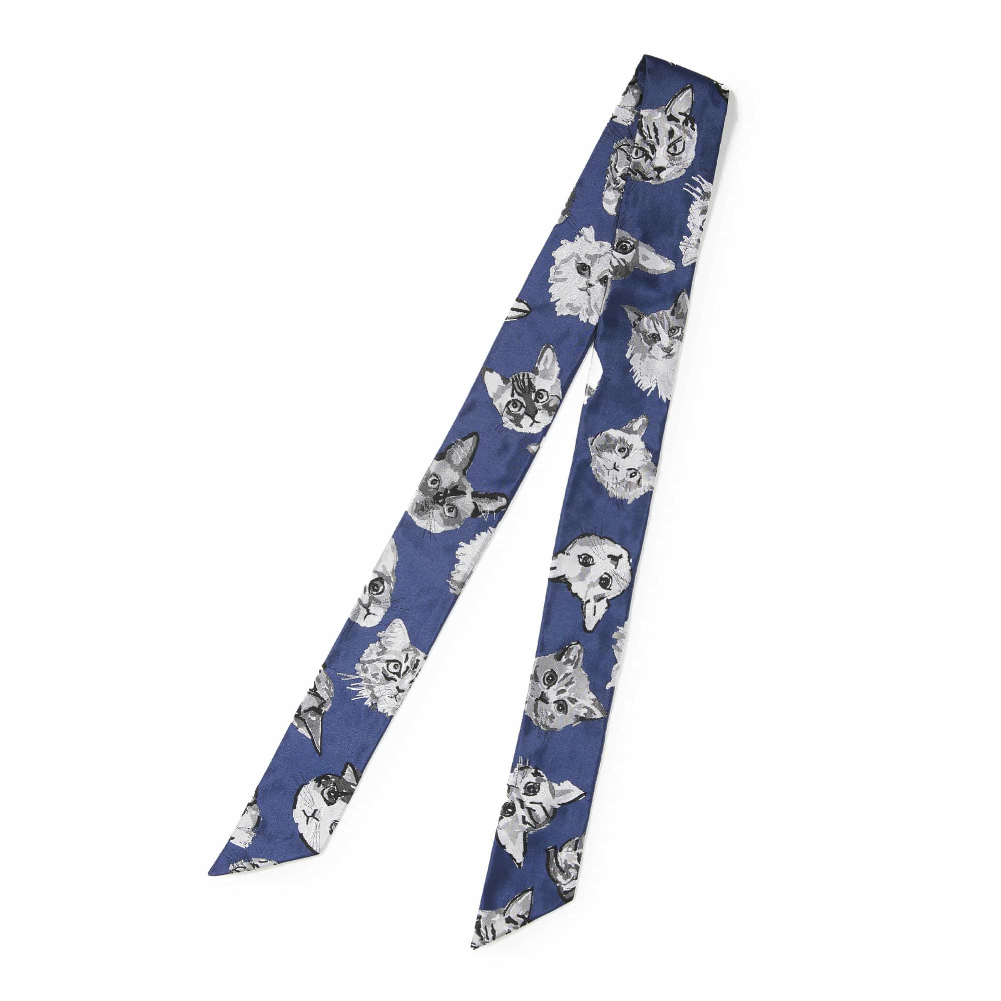 スカーフタイ/キャット(ネイビー): スカーフタイ | 銀座田屋