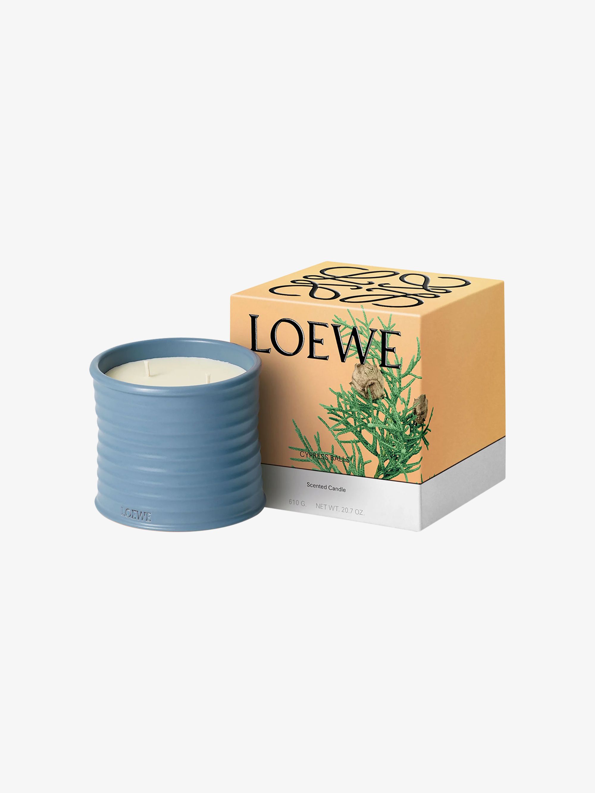 Scented candle MEDIUM Tomato Leaves from LOEWE