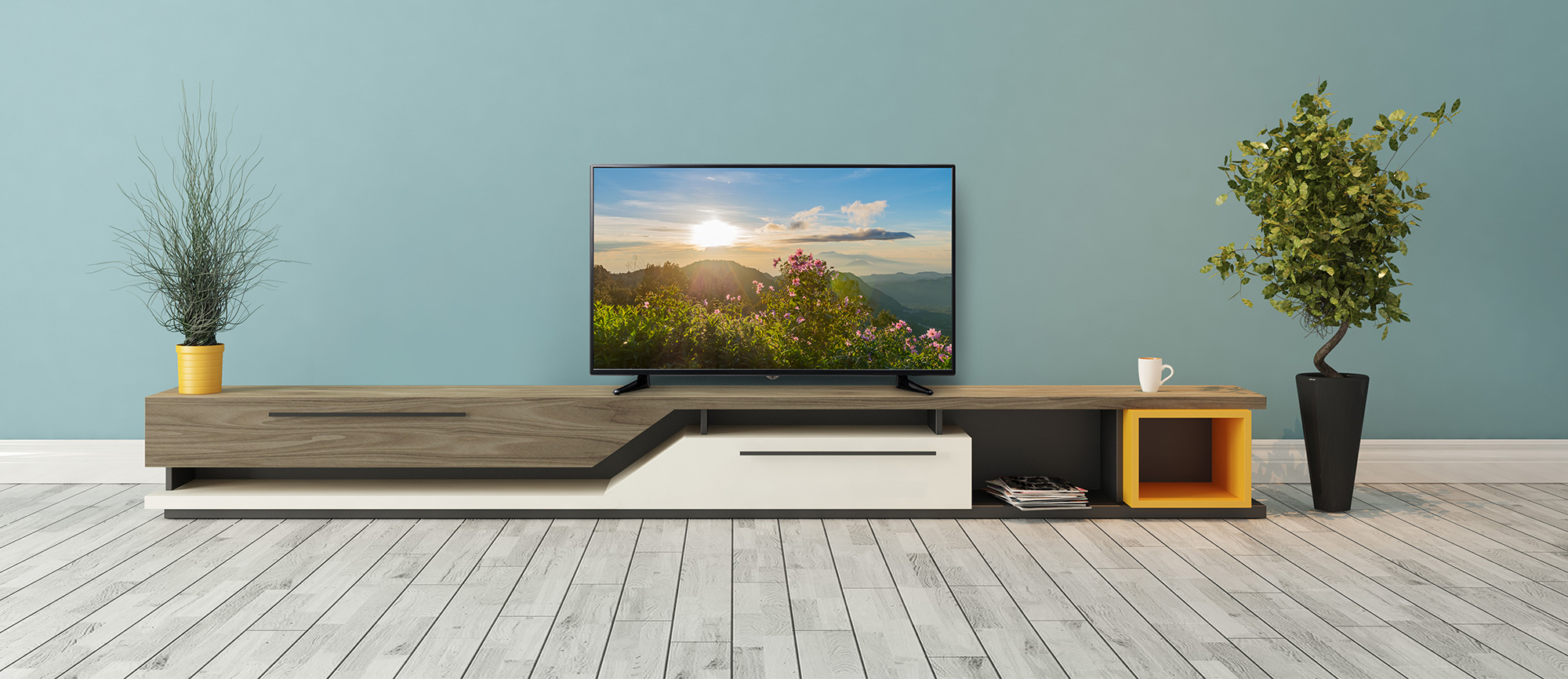 spot | GH-TV49B-BK 【完売御礼】 | GREEN HOUSE グリーンハウス