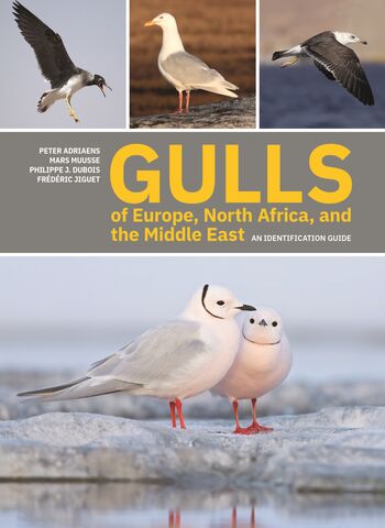 Book Review - Gulls of Europe, North Africa and the Middle East