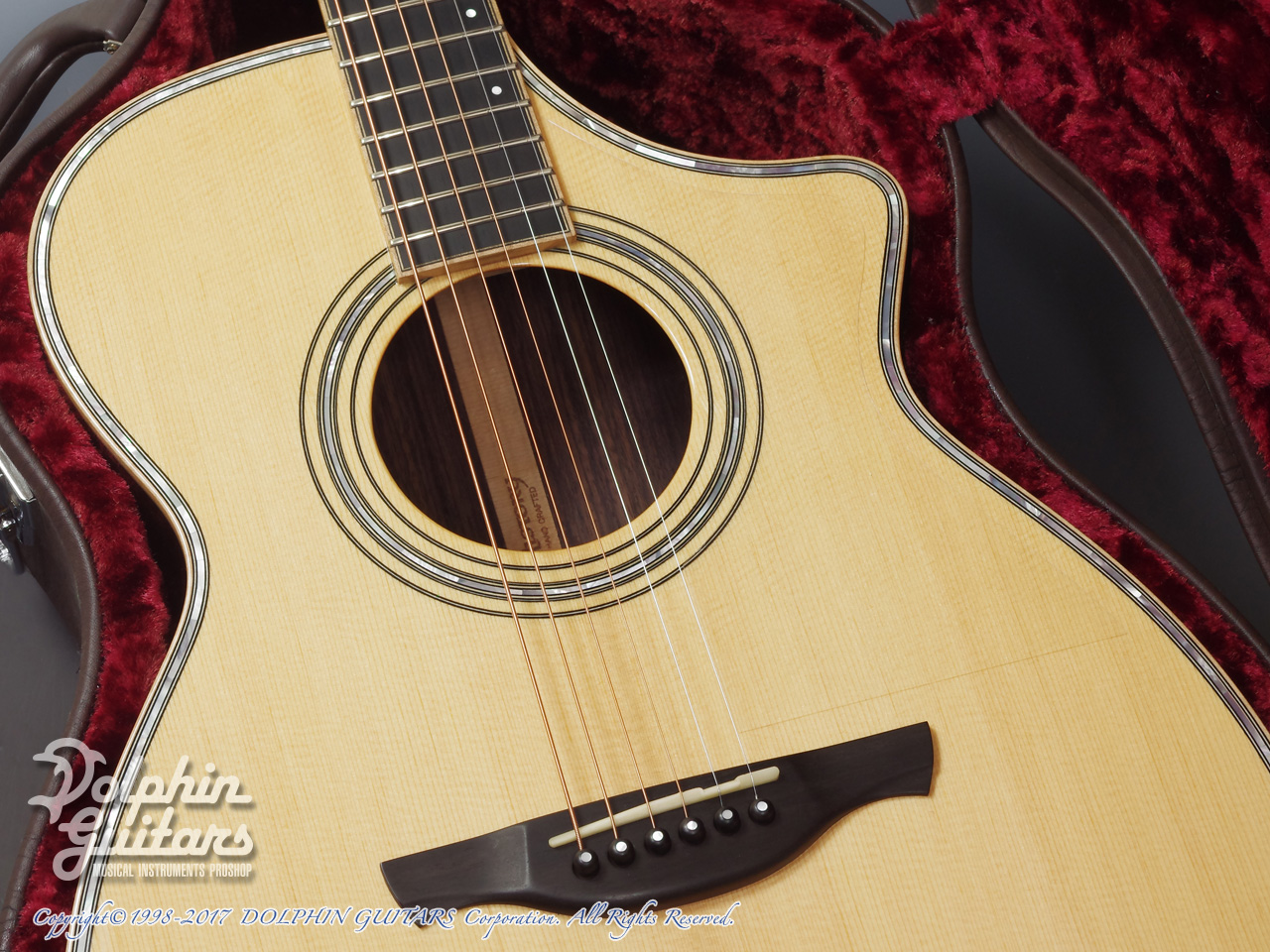 HISTORY NT-501|ドルフィンギターズ