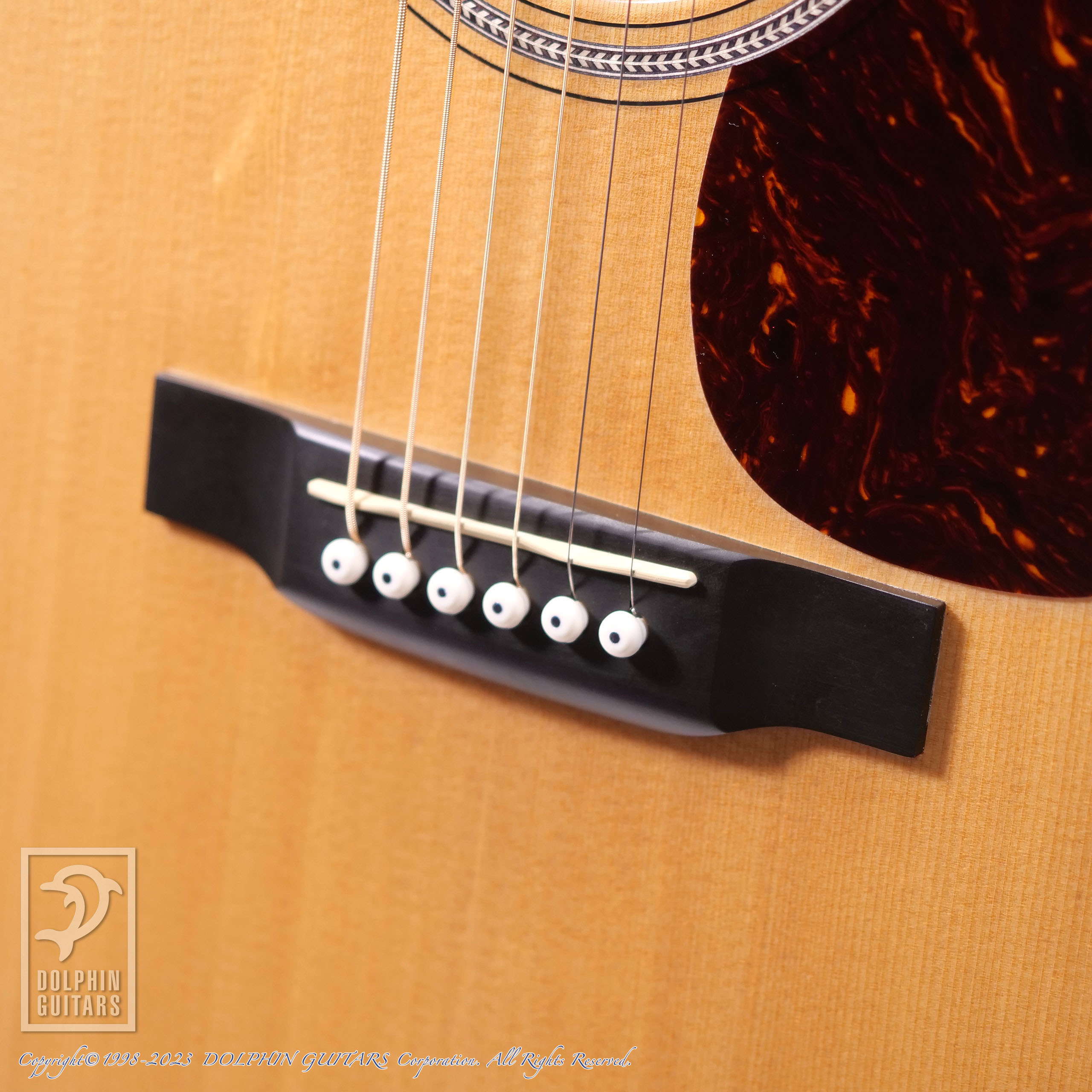 C.F.Martin D-16GT|ドルフィンギターズ