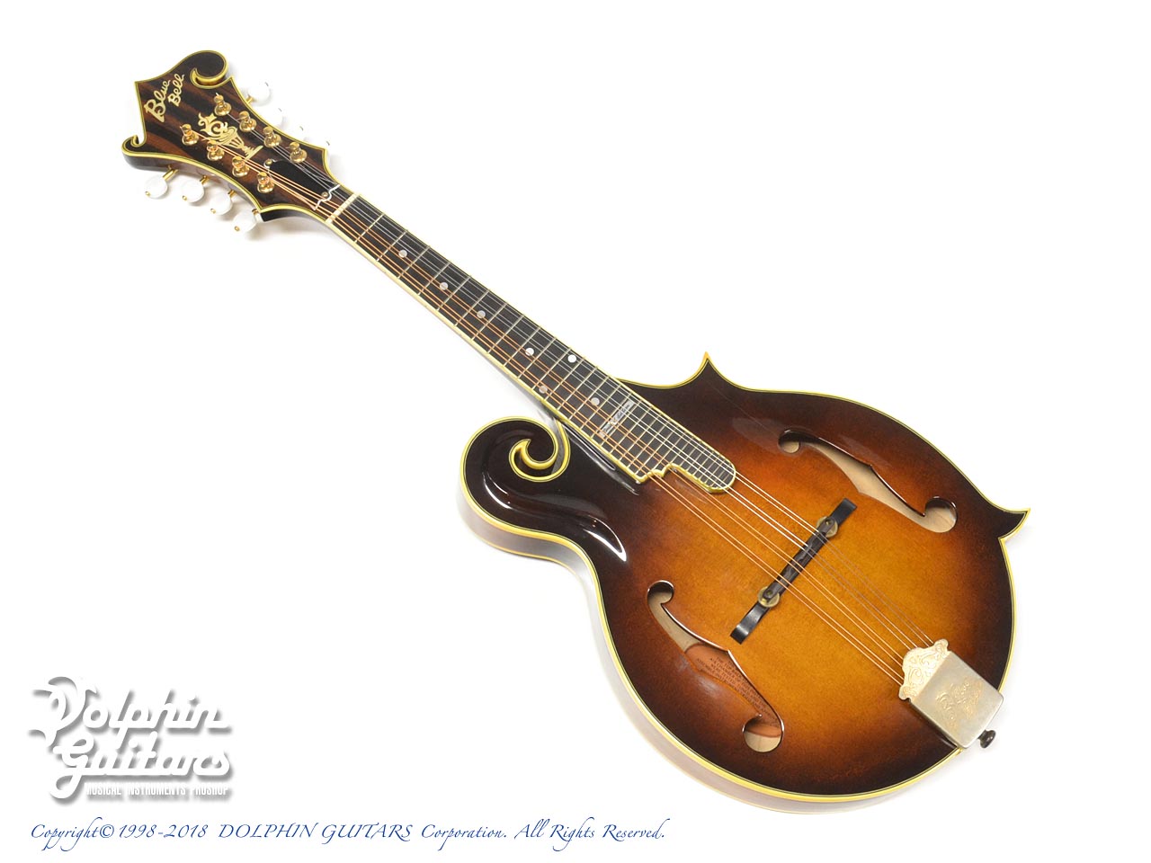 BLUE BELL F-10|ドルフィンギターズ