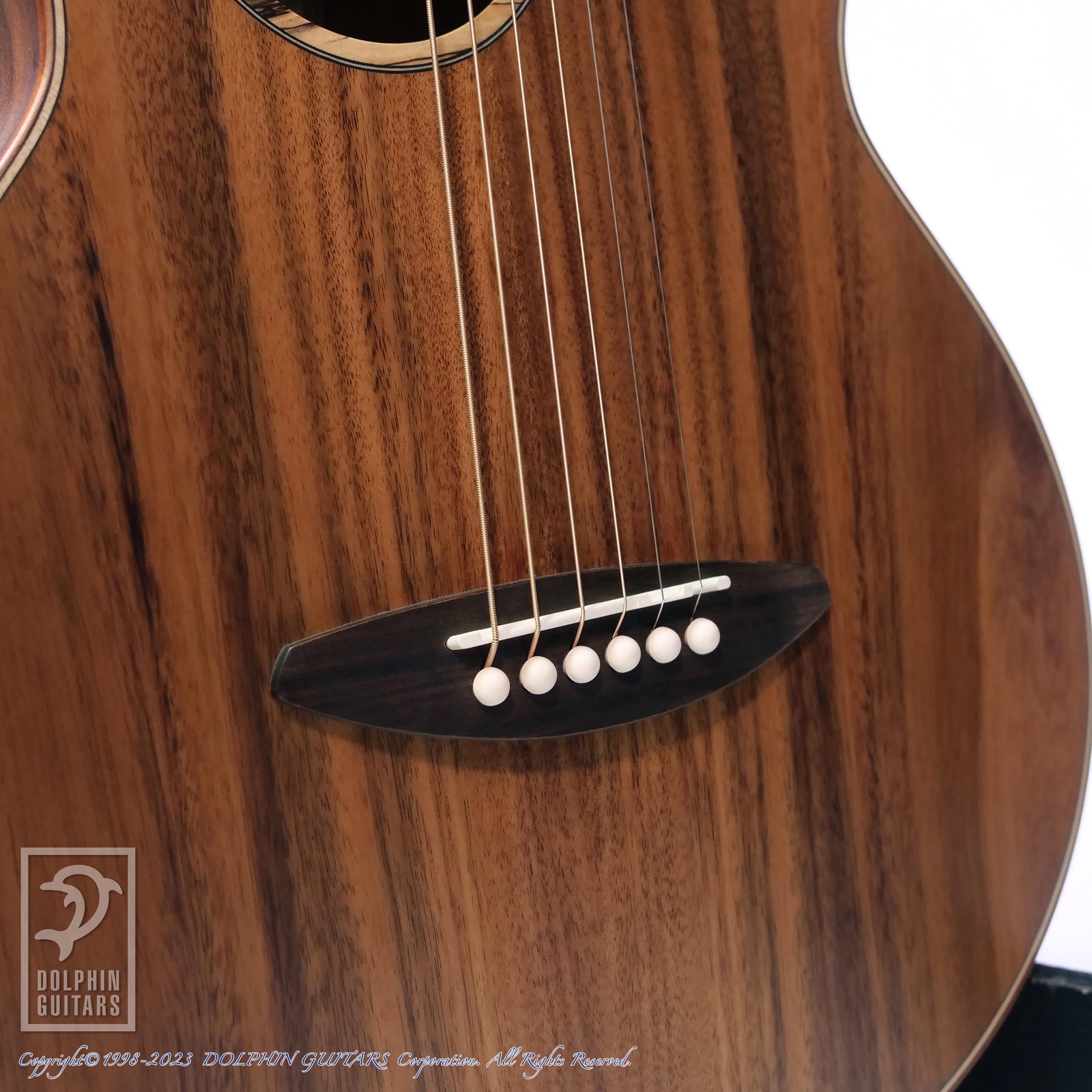 aNueNue aNN-M30 (All Acacia body)|ドルフィンギターズ