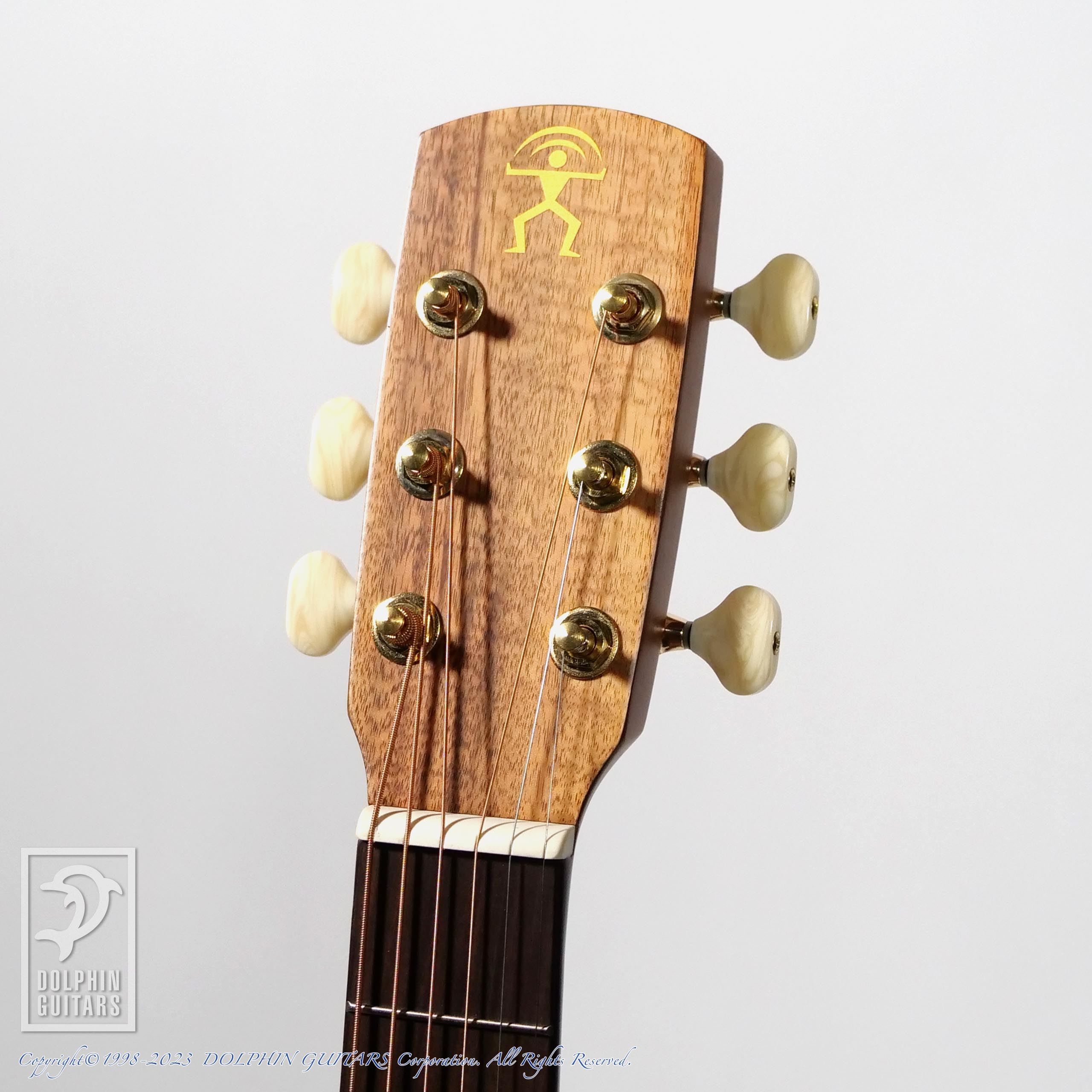 aNueNue aNN-M30 (All Acacia body)|ドルフィンギターズ