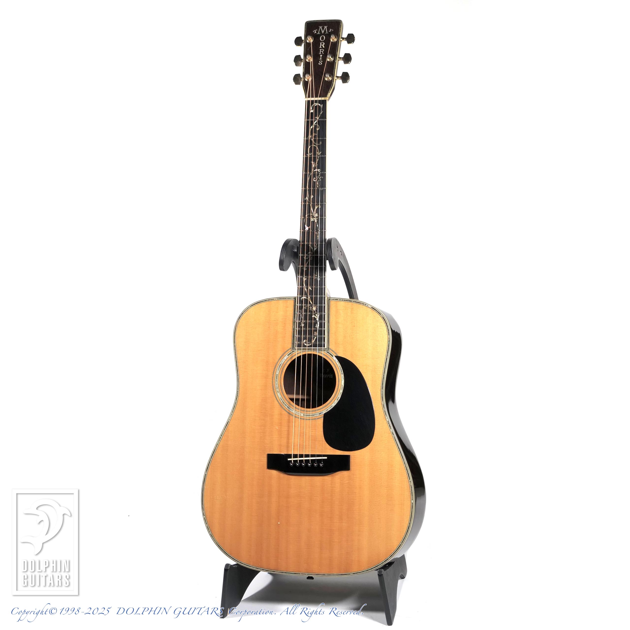 Morris モーリス TF-100 アコースティックギター Morris モーリス TF