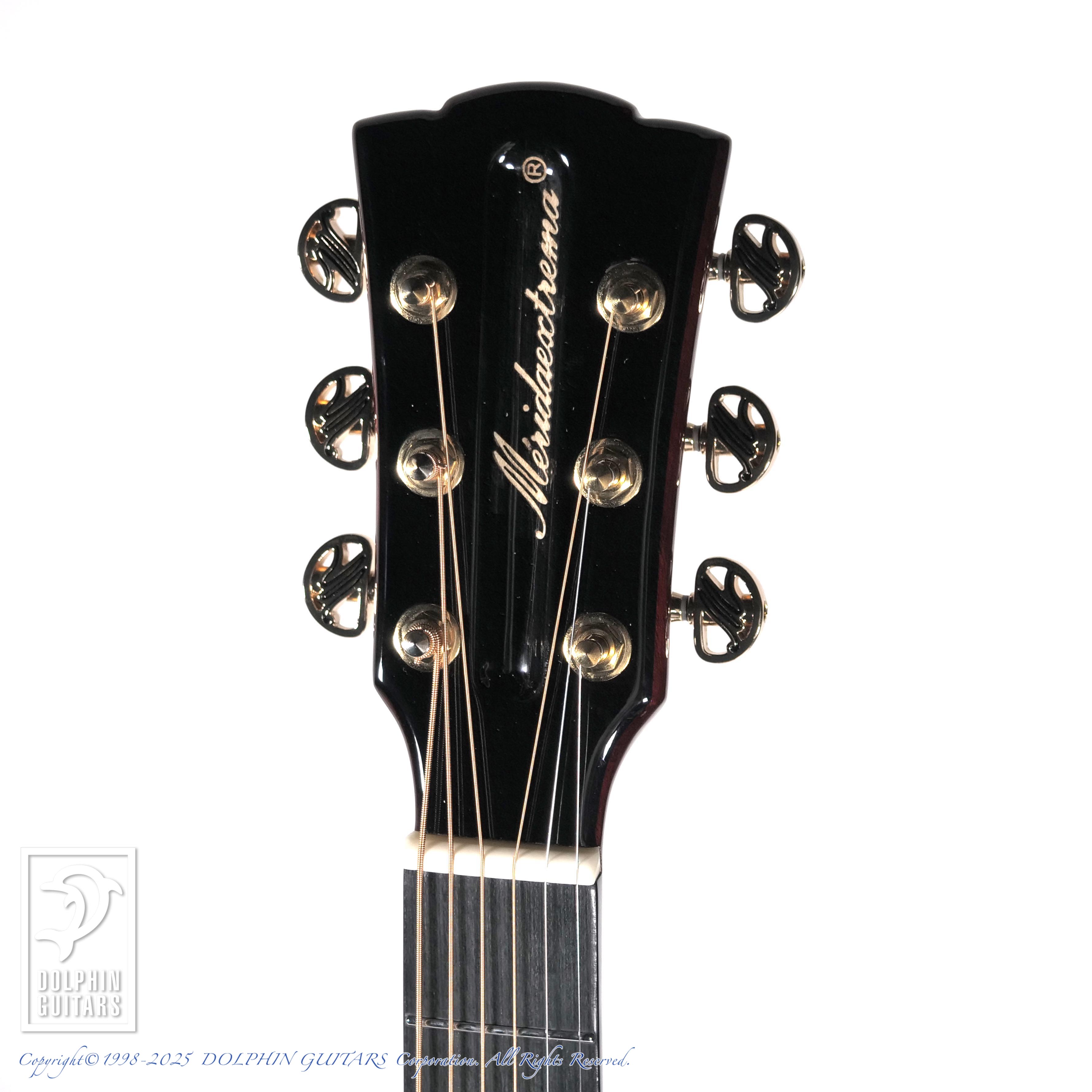 Meridaextrema M1GCS|ドルフィンギターズ