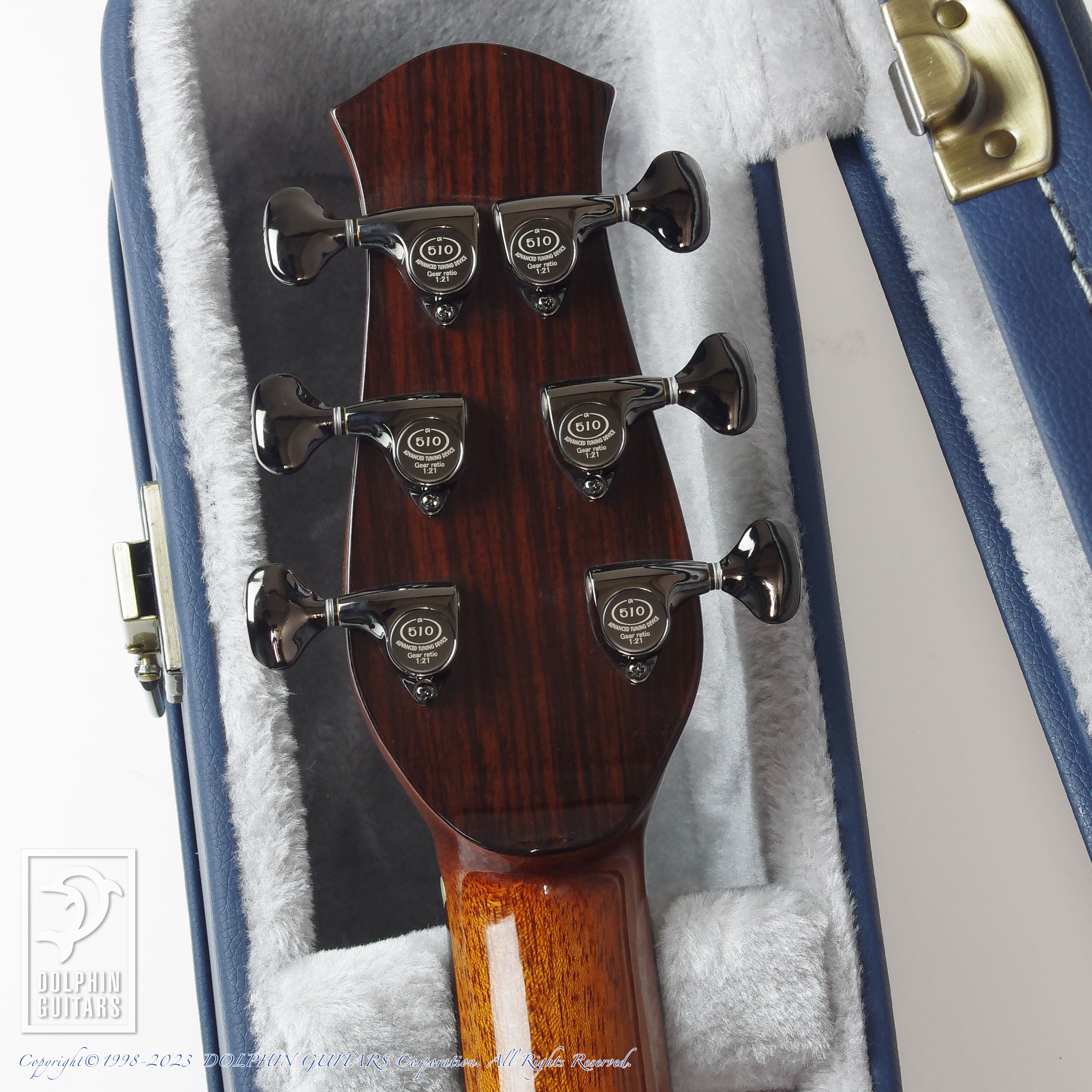 aNueNue LS600 Designed by Sugita Kenji|ドルフィンギターズ