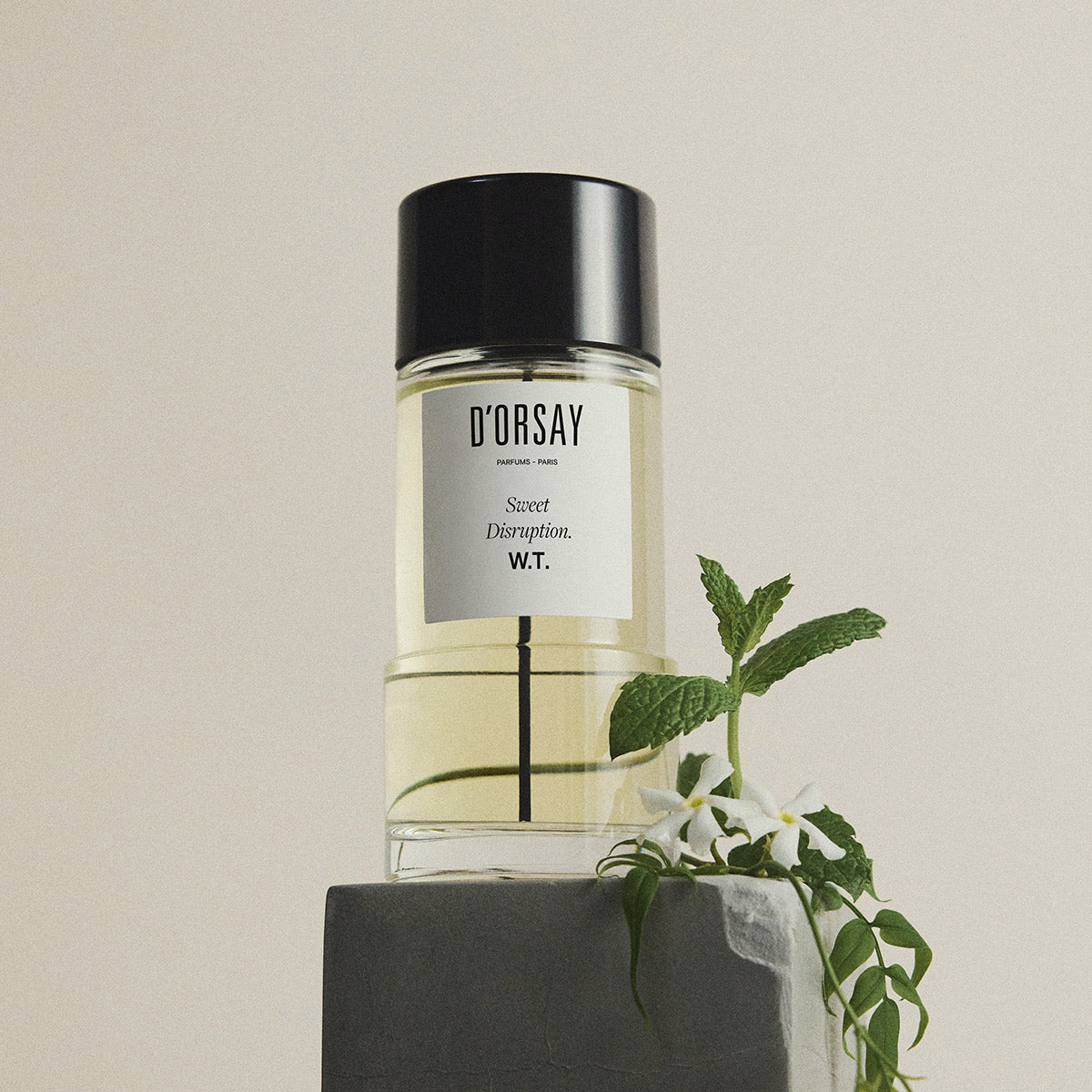 Sweet Disruption. W.T. – Maison D'ORSAY