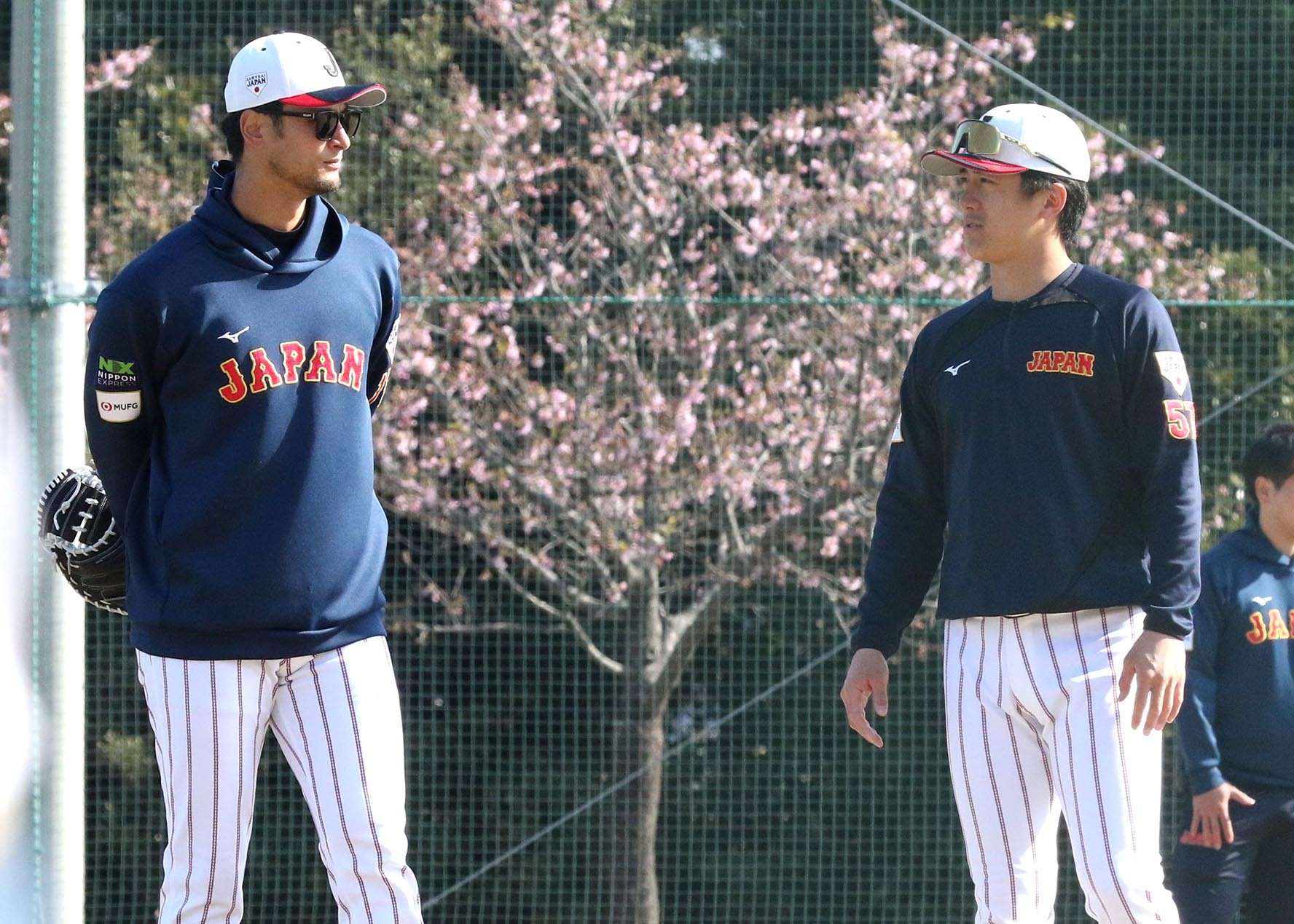 ダルビッシュ有関連一覧｜ニュース | 道新スポーツ | DOSHIN SPORTS