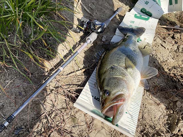 3代目 「ドットスリー 2021」 実釣インプレ | ダイワ ハートランド