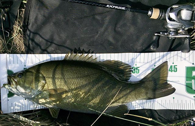 バス釣り引退品 バス釣り バス釣り引退セット（ルアー系） バス釣り