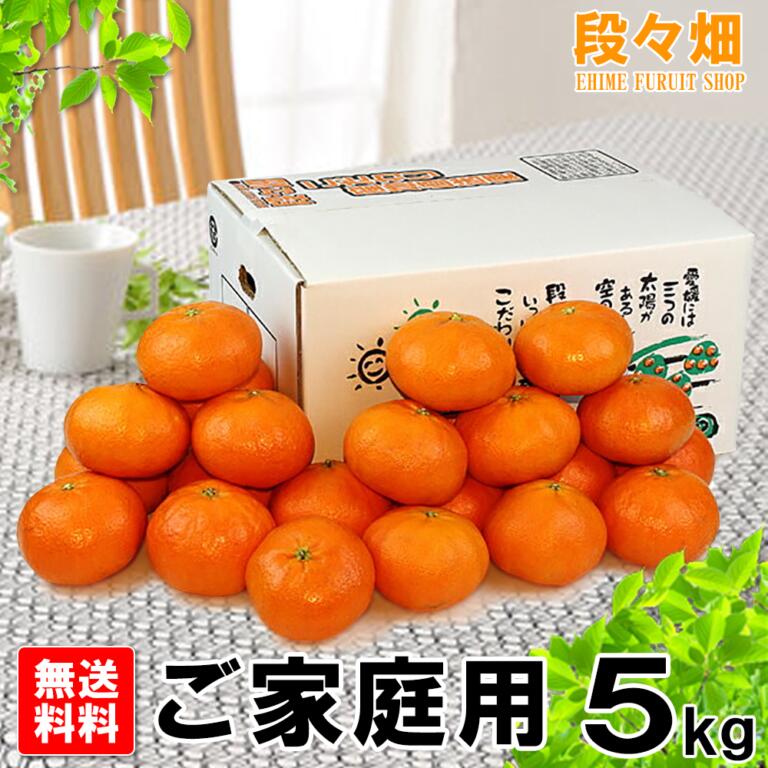 愛媛県産 甘平 ご家庭用5kg - 愛媛県産 甘平（かんぺい）