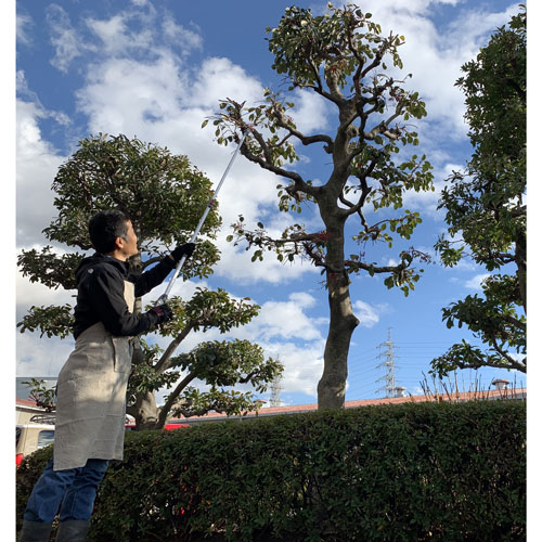 アルス 伸縮式高枝鋏ズームチョキエコノ標準タイプ2? 160ZD-2.0-3D