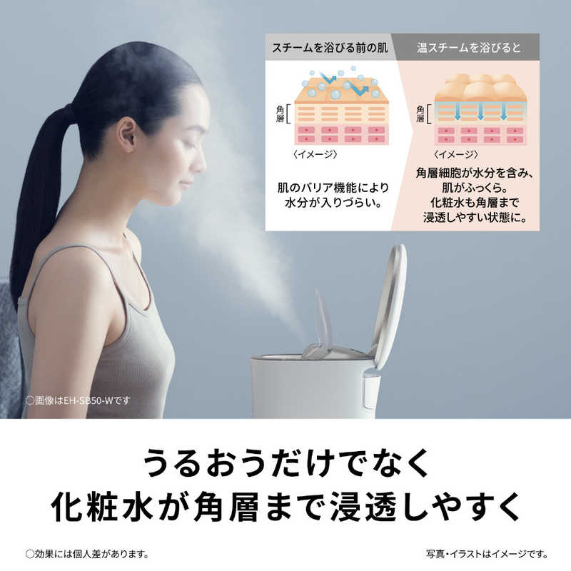 デンキチWeb / パナソニック Panasonic スチーマー ナノケア SKINACT