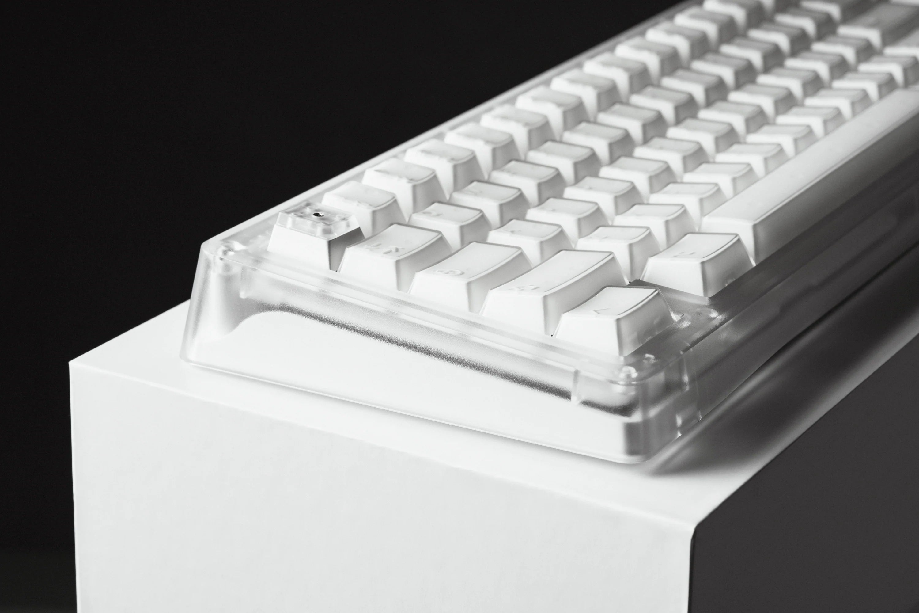 PBTFans X-Ray Keycaps