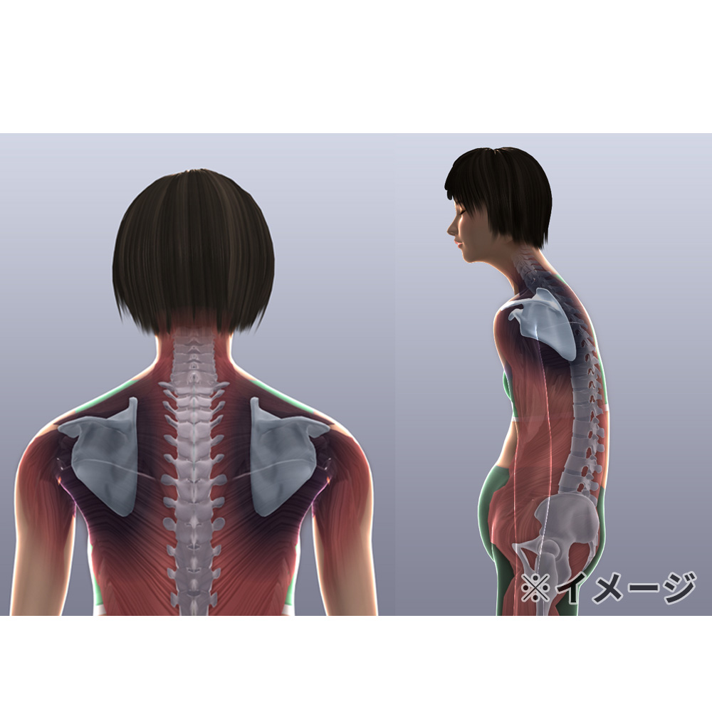 ウルトラディープストレッチ ディノスANAmall店