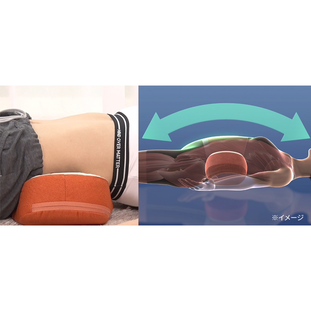 フィットネスクラブが作った スタイリークッション ディノスANAmall店