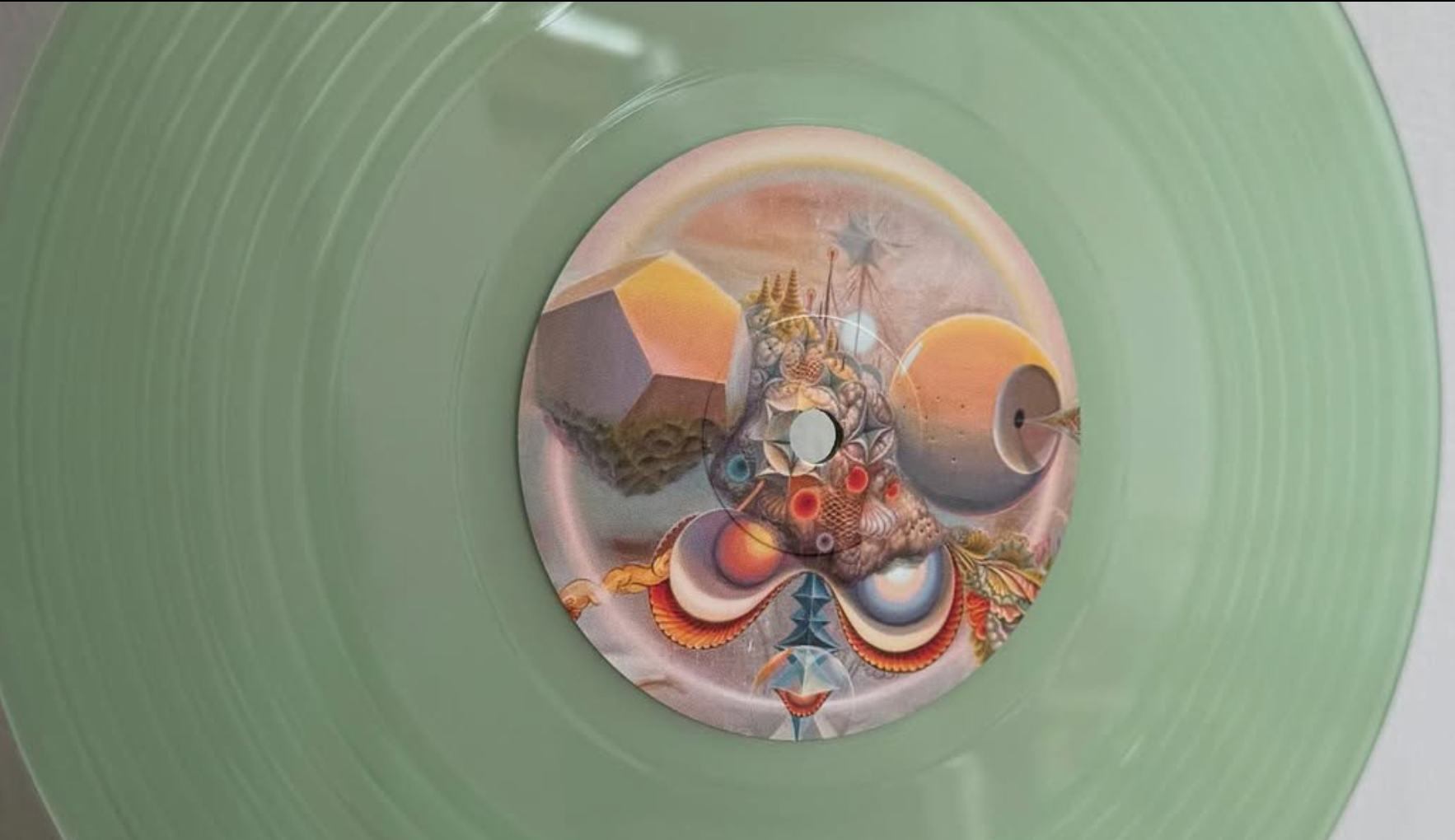 🔥️‍ SUPERSEAL 🔥️‍ 8 INCHERS 🔥️‍ EXTRA HOT!!! Now in 8.2