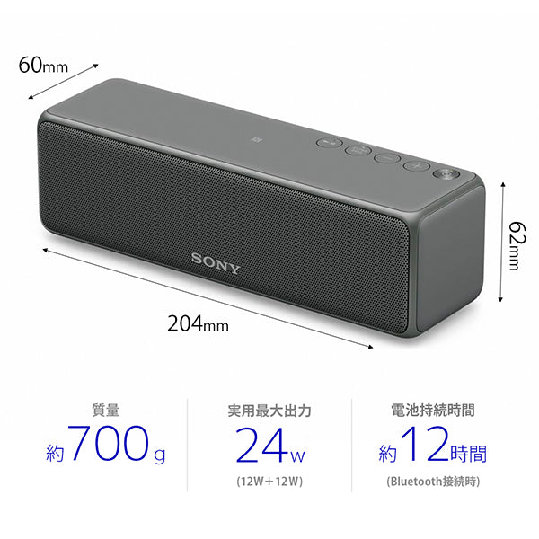 SONY SRS-HG10 – e☆イヤホン