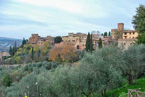 レオナルドの生誕地ヴィンチ村ツアー】フィレンツェ発現地ツアー