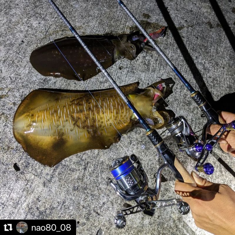 魅黒/Blue』ZERO-G EVOLUTION GVX 蒼龍II 706 EVA [別注EGI MANIACS