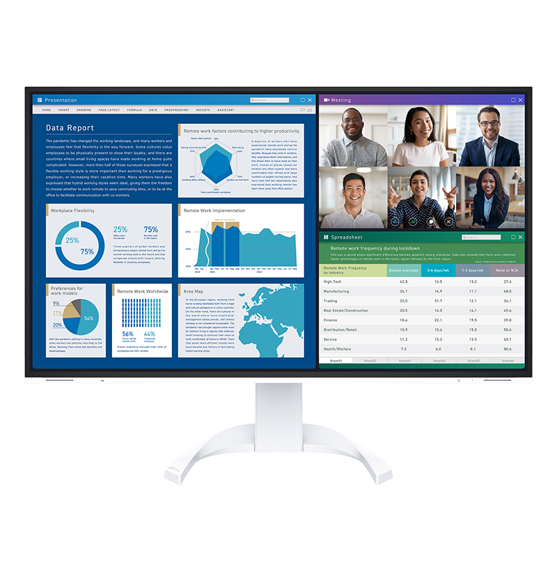 FlexScan EV3240X - 31.5