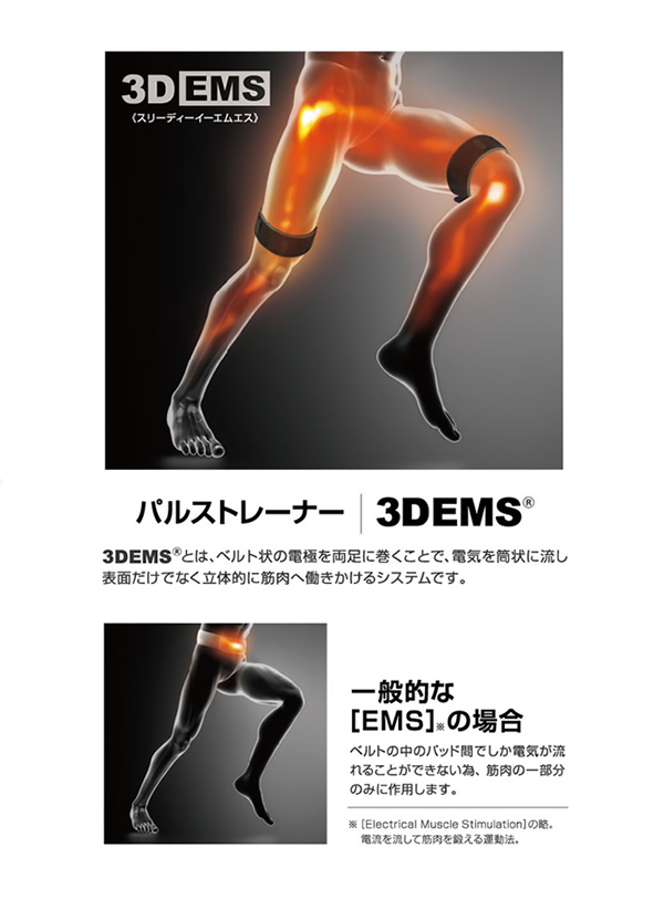 エポックモア｜パルストレーナー 3DEMS