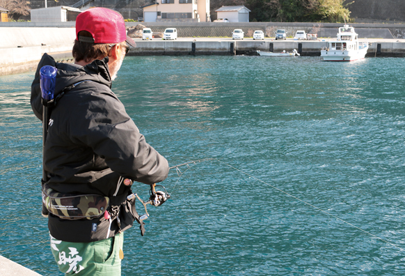 EVERGREEN（エバーグリーン インターナショナル） - NIMS-80ULST