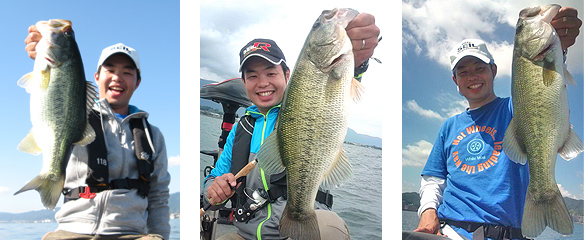 EVERGREEN（エバーグリーン インターナショナル） – ヘラクレス