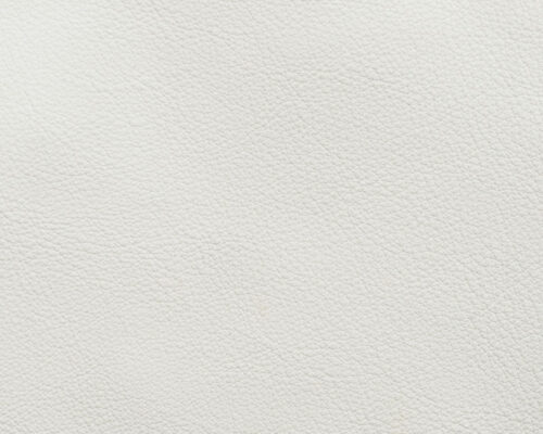 Snow White 11-0602 TPX Archives - Foglizzo