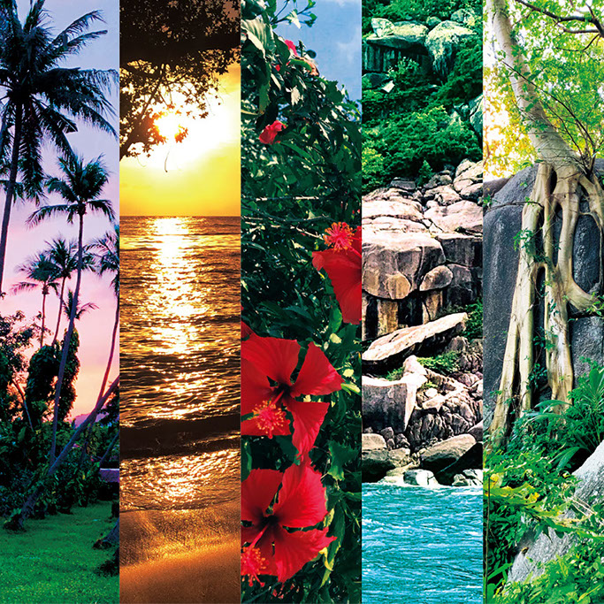 FS(tm) RESORT ~Secret Island~