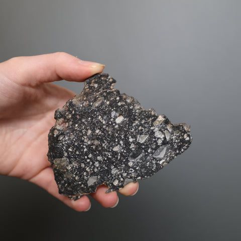 GW限定値下げ】月隕石 lunar meteorite 隕石 NWA15373 GW限定値下げ