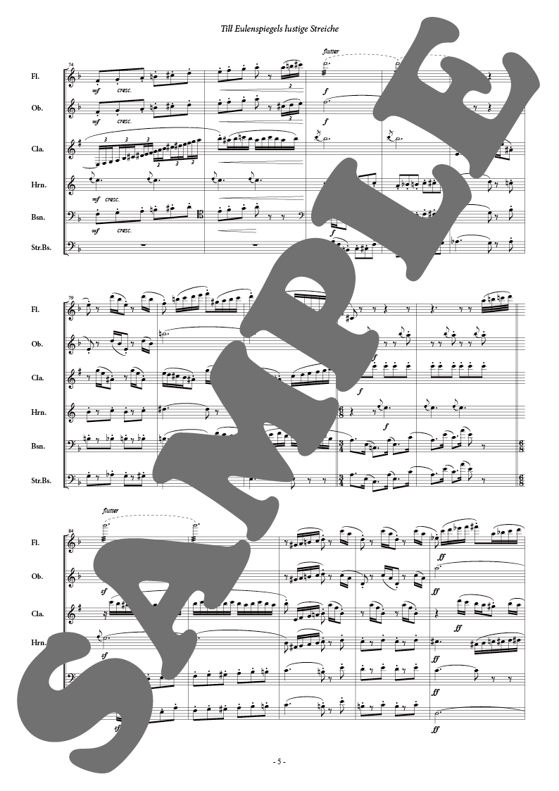 交響詩「ティル・オイレンシュピーゲルの愉快ないたずら」（抜粋